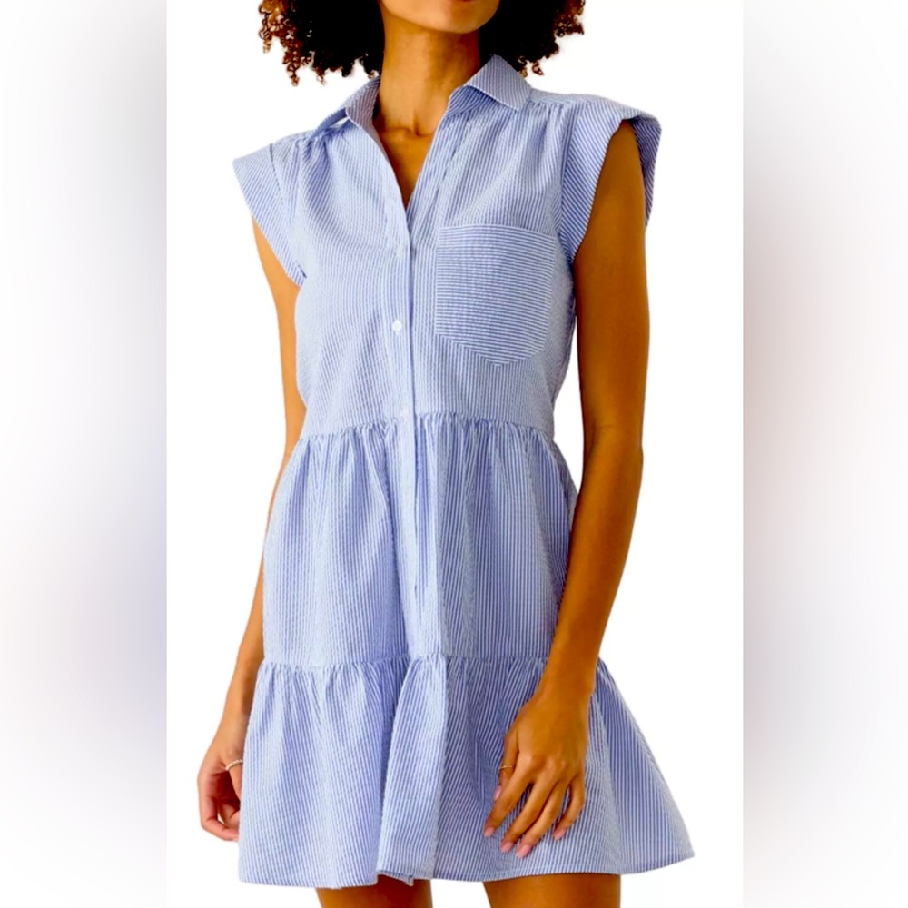 Oak & Trellis seersucker button front dress.size Large